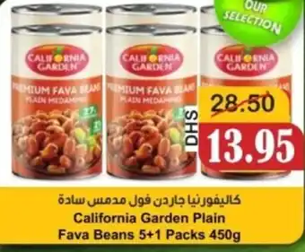 Al Mushrif Co-Operative Society California Garden Plain Fava Beans offer