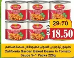 Al Mushrif Co-Operative Society California Garden Baked Beans In Tomato Sauce offer