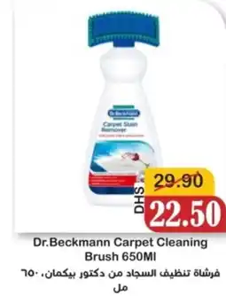 Al Mushrif Co-Operative Society Dr.Beckmann Carpet Cleaning Brush offer