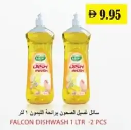 Al Mushrif Co-Operative Society Falcon dishwash offer
