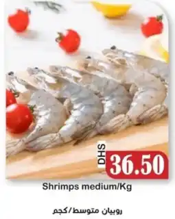 Al Mushrif Co-Operative Society Shrimps medium offer