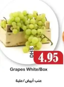 Al Mushrif Co-Operative Society Grapes White/Box offer
