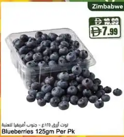 Almaya supermarket Blueberries offer