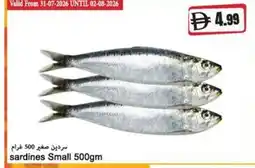 Almaya supermarket Sardines small offer