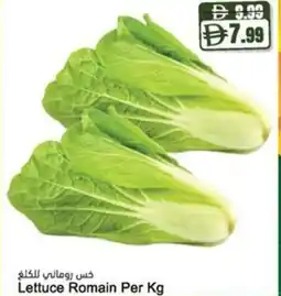 Almaya supermarket Lettuce Romain offer