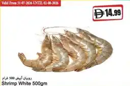 Almaya supermarket Shrimp White offer