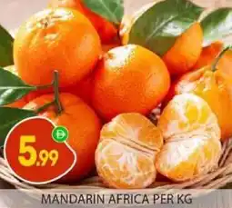 Bigmart Mandarin africa offer