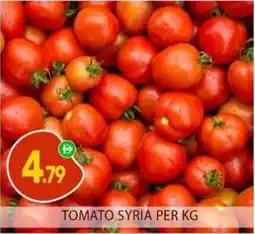 Bigmart Tomato syria offer