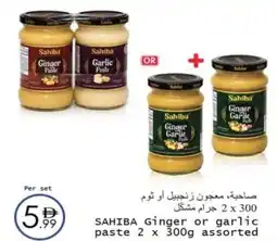 Wear Mart SAHIBA Ginger or garlic paste offer