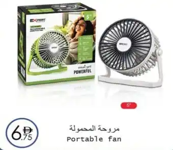 Portable fan