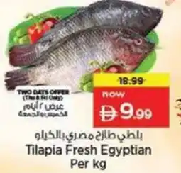 Nesto Tilapia Fresh Egyptian offer