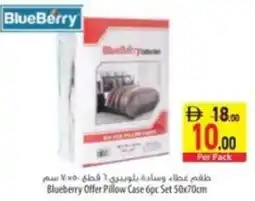 Safeer Market Blueberry Offer Pillow Case offer