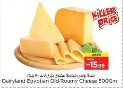 Nesto Dairyland Egyptian Old Roumy Cheese offer