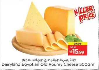 Nesto Dairyland Egyptian Old Roumy Cheese offer