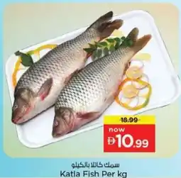Nesto Katla Fish offer