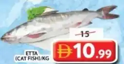 Grand Mall Sharjah Etta (cat fish) offer