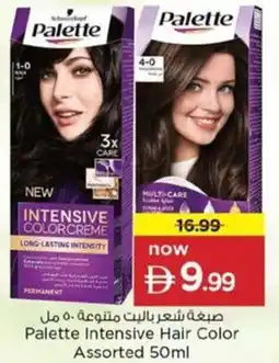 Nesto Palette Intensive Hair Color Assorted offer