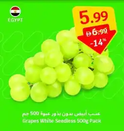 SAVA Grapes White Seedless offer