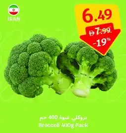 SAVA Broccoli offer