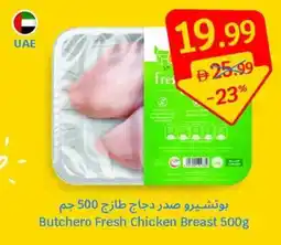 SAVA Butchero Fresh Chicken Breast offer