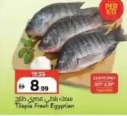 Mark & Save Tilapia Fresh Egyptian offer