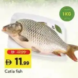 Mark & Save Catla fish offer