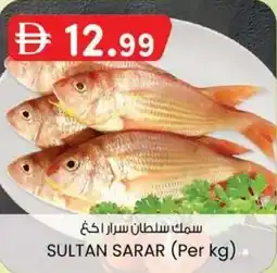 KM Trading Sultan sarar offer