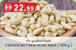 KM Trading Cashew nut raw w240 india offer