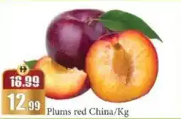 RAK Coop Plums red China offer