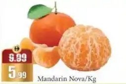 RAK Coop Mandarin Nova offer