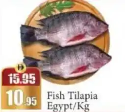 RAK Coop Fish Tilapia Egypt offer