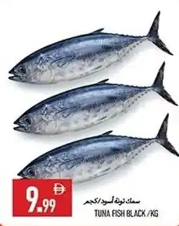 Rawabi Market Tuna fish black offer