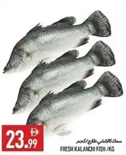 Rawabi Market Fresh kalanchi fish offer