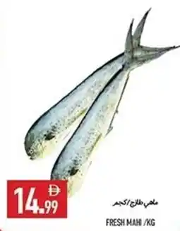 Rawabi Market Fresh mahi offer