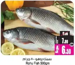Ansar Mall Rohu Fish offer
