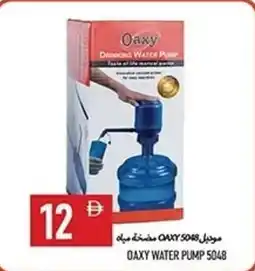 Rawabi Market Oaxy water pump 5048 offer