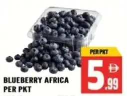 Dream Land Center Blueberry africa offer