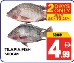 Dream Land Center Tilapia fish offer