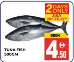 Dream Land Center Tuna fish offer