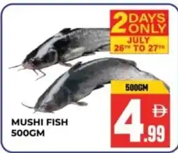 Dream Land Center Mushi fish offer