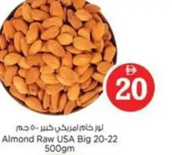 Nesto Almond Raw USA Big 20-22 offer