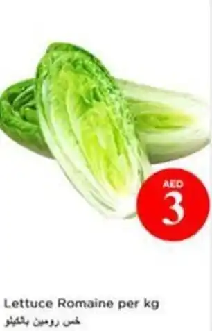 Nesto Lettuce Romaine offer