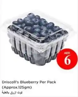 Nesto Driscoll's Blueberry Pack offer