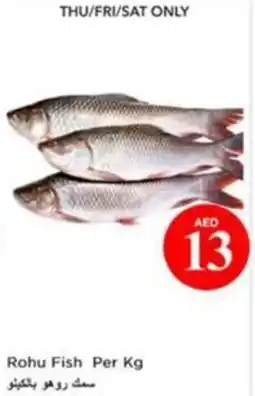 Nesto Rohu Fish offer