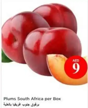 Nesto Plums South Africa offer