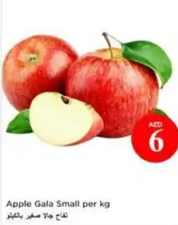 Nesto Apple Gala Small offer