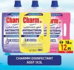Safeer Market Charmm disinfectant asst offer
