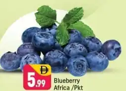 Shaklan Blueberry africa offer