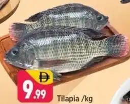 Shaklan Tilapia offer