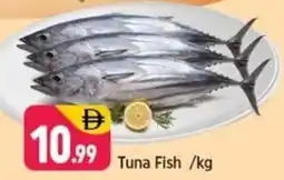 Shaklan Tuna fish offer